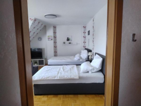 Geräumiges Appartment Nahe Hannover Messe